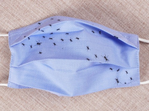 Maseczka bawełniana Collection Adam wzór 64B.JPG