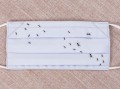 Maseczka bawełniana Collection Adam wzór 67.JPG