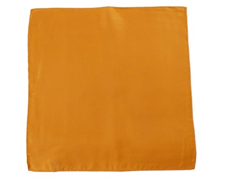 Poszetka jedwabna Collection Adam wzór nr 76.JPG