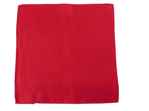 Poszetka jedwabna Collection Adam wzór nr 77.JPG