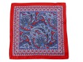 Poszetka jedwabna Collection Adam wzór nr 68.JPG